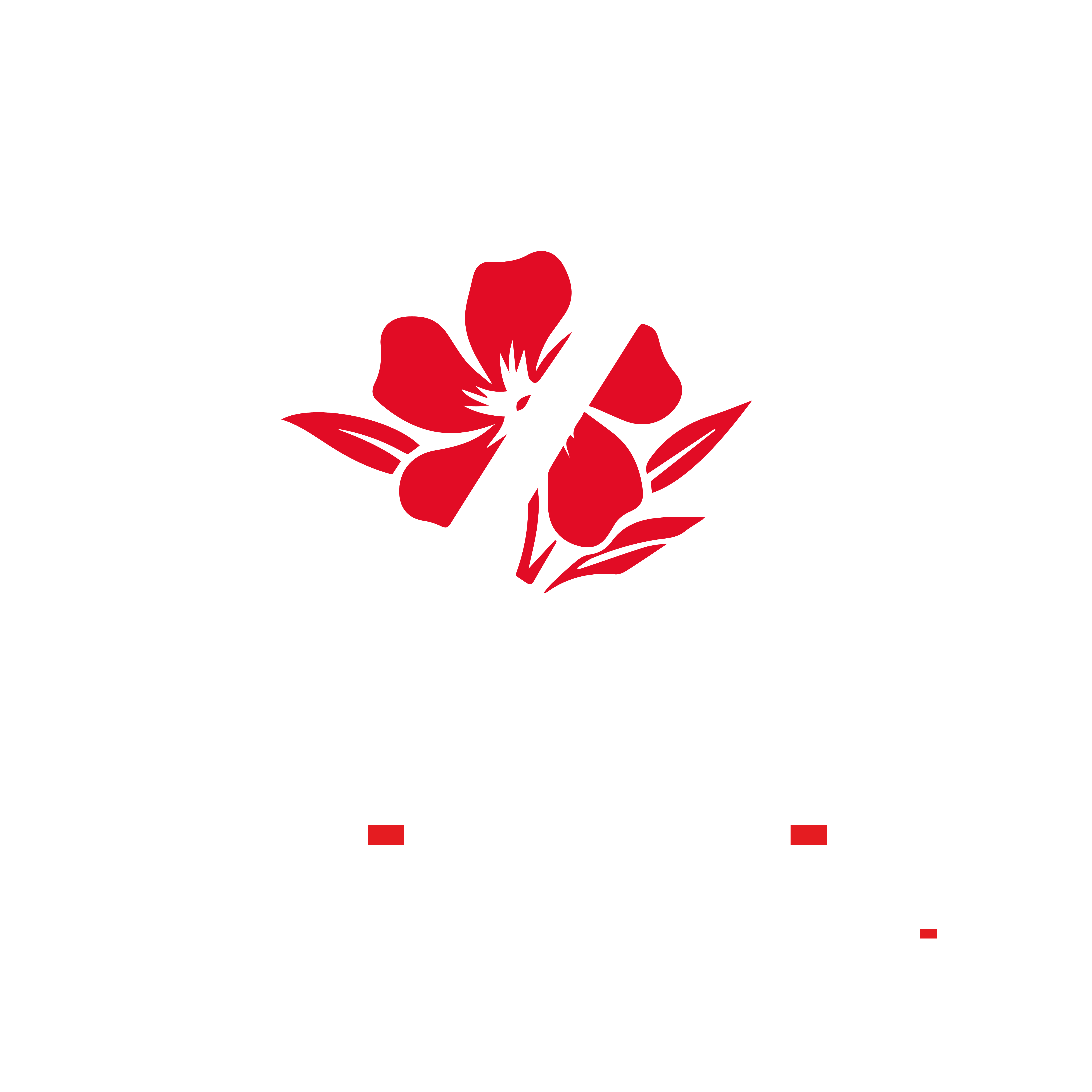 Oleander Software